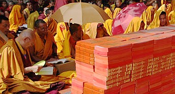 young monks reading in the new dharma books provided at the Nyingma Monlam Chenmo
		